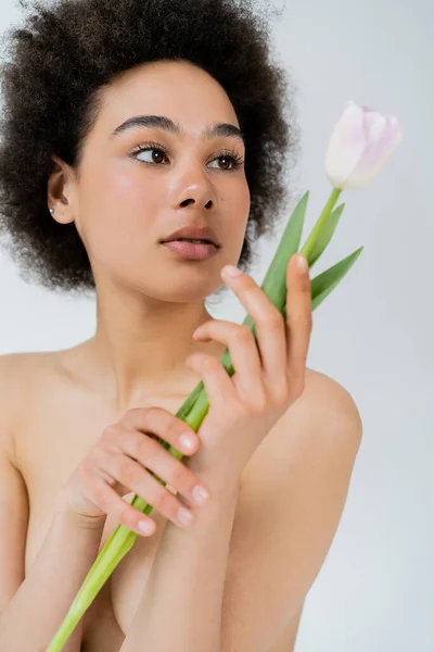 Portrait of african american woman with naked shoulders looking at tulip isolated on grey — Stock Photo