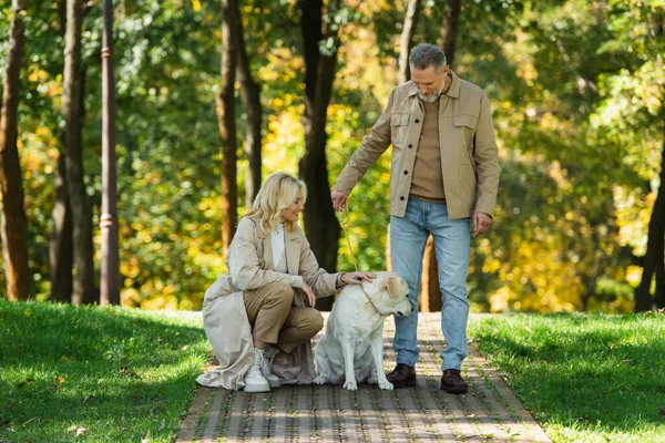 Улыбающаяся пара средних лет проводит время с лабрадором в парке — стоковое фото