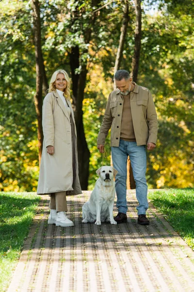 Positive mature couple with labrador dog spending time in spring park — Stock Photo