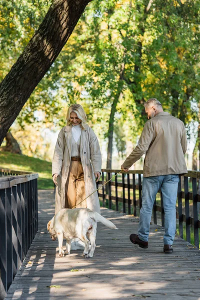 Cheerful blonde woman looking at labrador near husband on bridge in park — Stock Photo