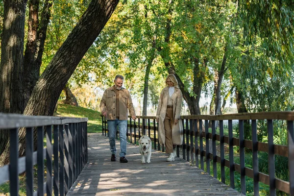 Счастливая пара средних лет, идущая рядом с лабрадором по мосту в парке — стоковое фото