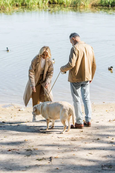 Улыбающаяся блондинка проводит время с лабрадором и мужем возле озера в парке — стоковое фото