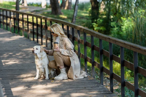 Smiling woman in sunglasses holding coffee to go and petting labrador on bridge in park — Stock Photo
