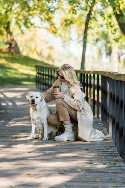 Зрелая женщина в солнечных очках держит кофе, чтобы подойти к лабрадору на мосту в парке — стоковое фото
