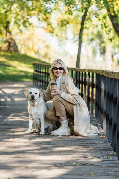 Mulher positiva em óculos de sol segurando café takeaway perto labrador na ponte no parque — Fotografia de Stock