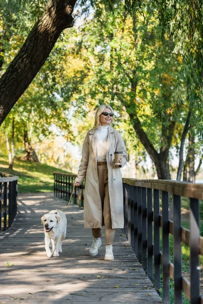Mature woman in sunglasses holding paper cup and walking with labrador on bridge in park — Stock Photo