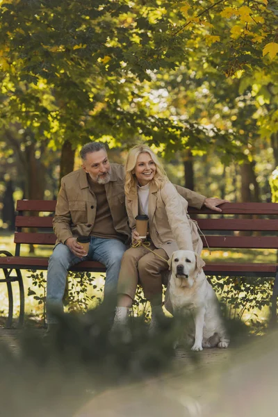Positive mature couple holding takeaway coffee while sitting on bench near labrador in park — Stock Photo