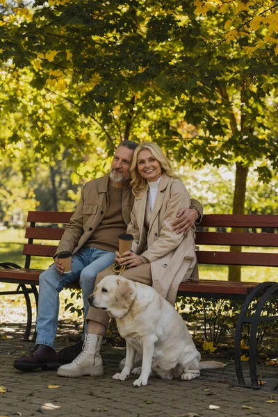 Un homme souriant étreignant sa femme avec du café pour aller s'asseoir près du labrador dans le parc — Photo de stock