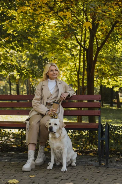 Blonde woman in trench coat holding coffee to go while sitting on bench near labrador — Stock Photo