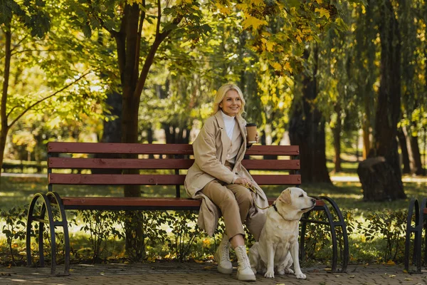 Mujer madura sonriente sosteniendo café para ir sentado en el banco cerca de labrador en el parque - foto de stock