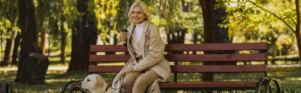 Весела блондинка тримає каву, щоб піти, проводячи час з лабрадором в парку, банер — стокове фото