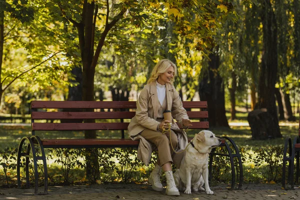 Позитивна жінка в траншеї тримає каву, щоб піти, сидячи на лавці біля лабрадору в парку — стокове фото