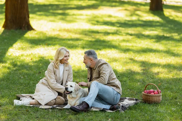 Happy middle aged couple looking at each other while petting labrador during picnic in park — Stock Photo