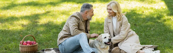 Happy middle aged couple looking at each other while petting labrador during picnic in park, banner — Stock Photo