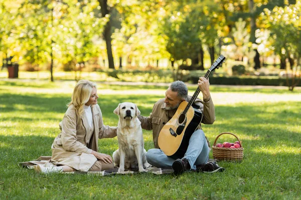 Счастливый мужчина средних лет играет на акустической гитаре рядом с блондинкой женой и собакой-лабрадором во время пикника в парке — стоковое фото