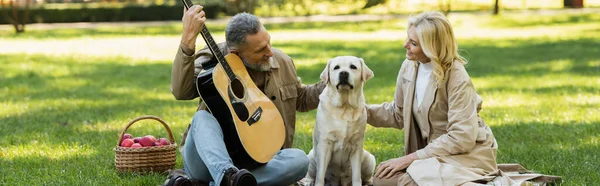 Allegro uomo di mezza età che suona la chitarra acustica vicino alla moglie bionda e al cane labrador durante il picnic nel parco, banner — Foto stock