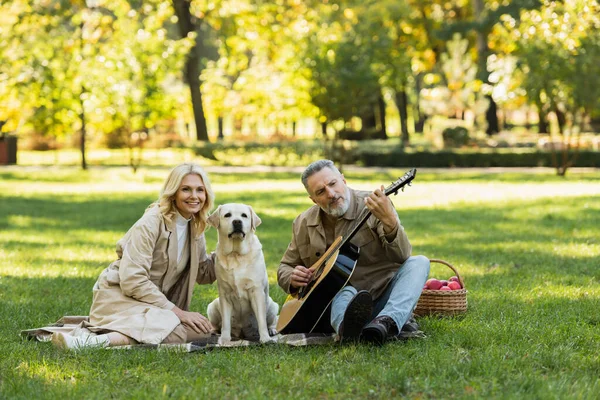Barbuto uomo di mezza età che suona la chitarra acustica vicino a moglie spensierata e cane labrador durante il picnic nel parco — Foto stock
