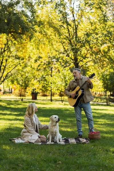 Barbudo hombre de mediana edad de pie cerca de su esposa y perro labrador mientras toca la guitarra acústica en el parque - foto de stock