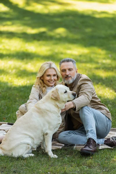 Happy middle aged couple cuddling labrador dog while sitting on blanket during picnic in park — Stock Photo