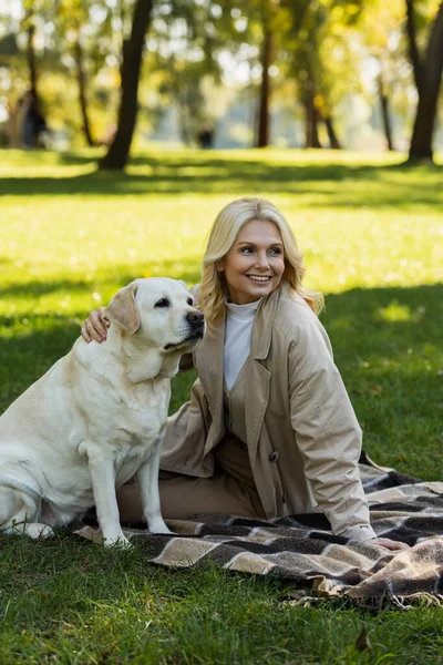 Happy middle aged woman with blonde hair cuddling labrador dog while sitting on blanket in park — Stock Photo