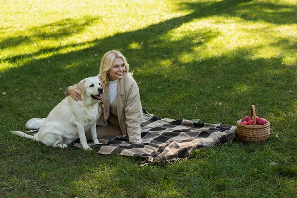 Joyful middle aged woman with blonde hair cuddling labrador dog while sitting on blanket in park — Stock Photo