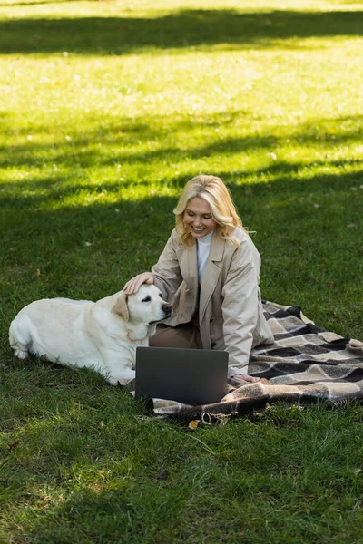 Happy middle aged woman petting labrador dog while watching movie on laptop and sitting on blanket in park — Stock Photo