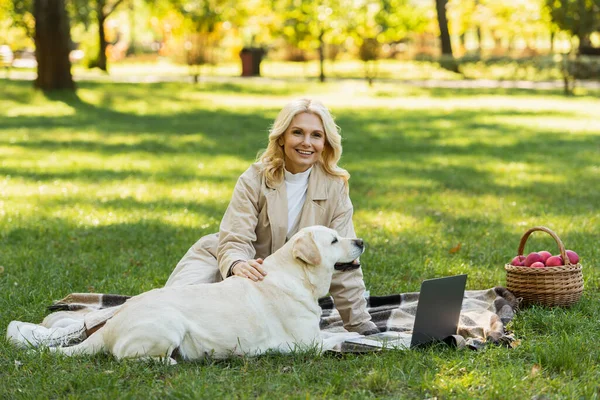 Carefree middle aged woman petting labrador dog while watching movie on laptop and sitting on blanket in park — Stock Photo