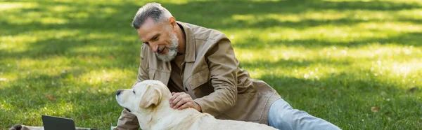 Feliz hombre de mediana edad con barba gris acariciando perro labrador en el parque, pancarta - foto de stock