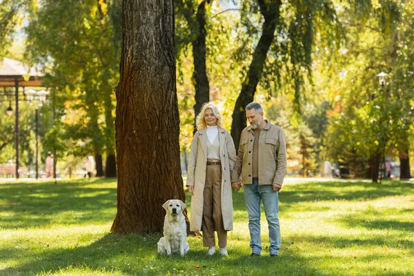 Счастливая пара средних лет в повседневной одежде, гуляющая с собакой-лабрадором в зеленом парке весной — стоковое фото