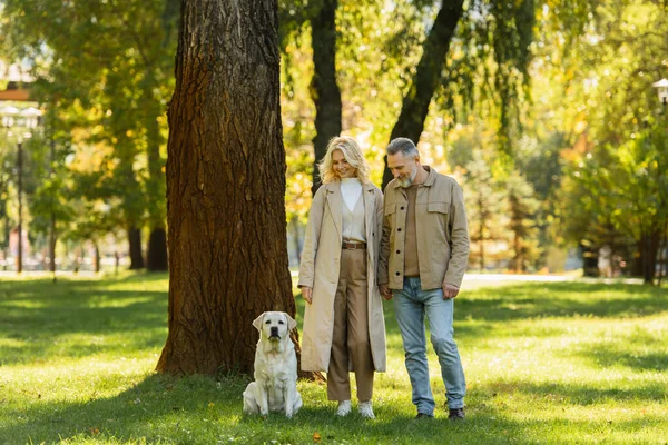 Веселая пара средних лет в повседневной одежде, гуляющая с собакой-лабрадором в зеленом парке весной — стоковое фото