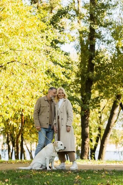 Feliz pareja en traje casual caminando con perro labrador en el parque verde durante la primavera - foto de stock