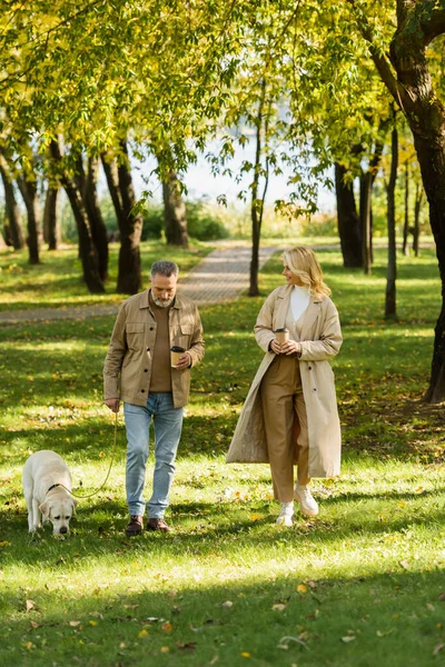 Cheerful middle aged woman holding coffee to go and looking at husband walking out with labrador in park during springtime — Stock Photo