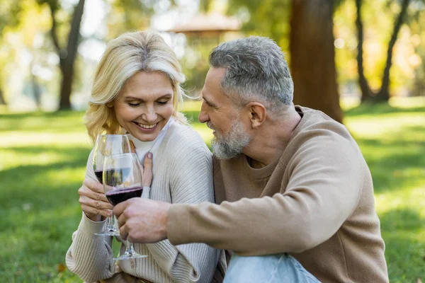 Happy husband and wife clinking glasses with red wine during picnic in green park — Stock Photo