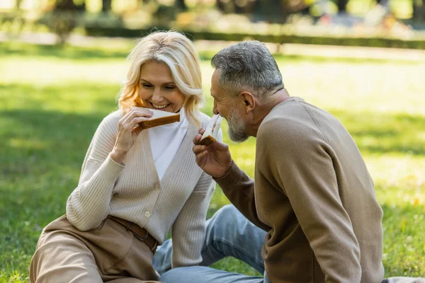 Happy middle aged couple eating tasty club sandwiches during picnic in green park — Stock Photo