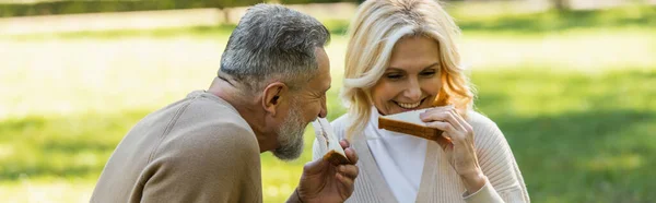 Happy middle aged couple eating tasty club sandwiches during picnic in green park, banner — Stock Photo