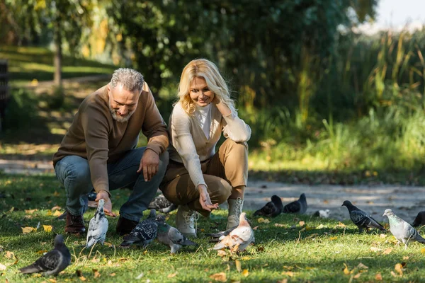 Full length of happy middle aged couple sitting and luring pigeons in park — Stock Photo