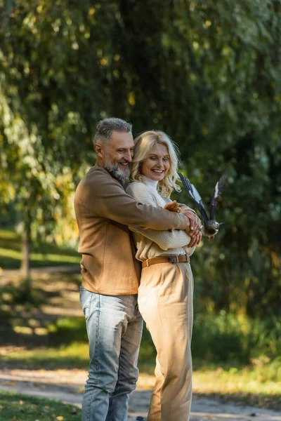 Довольный мужчина средних лет обнимает блондинку жену возле летающего голубя в парке — стоковое фото