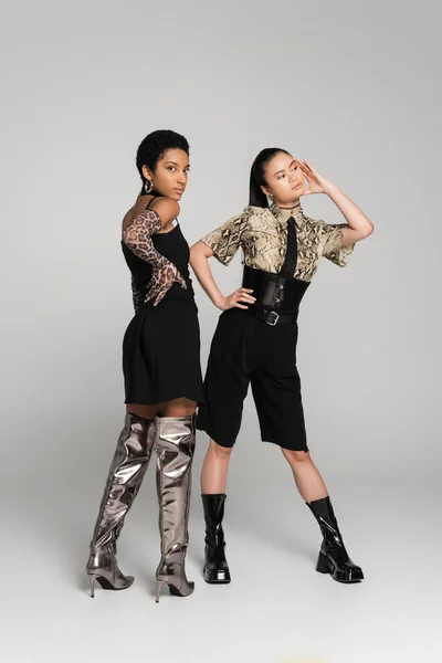 Gut gekleidet multiethnische Freundinnen in Kleidern mit Tierprints posieren auf grauem Hintergrund — Stockfoto