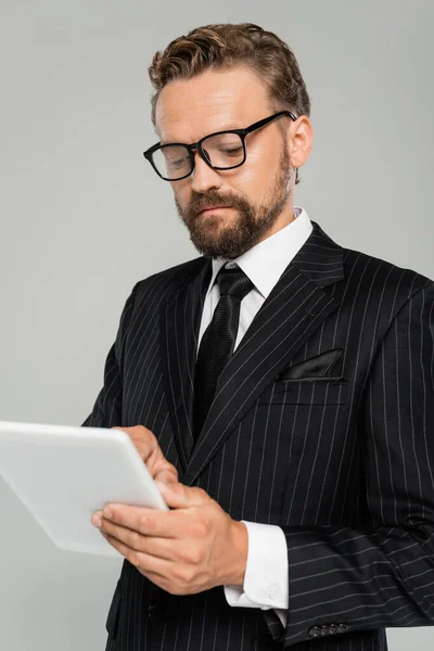 Бізнесмен у формальному одязі та окулярах з використанням цифрового планшета ізольовано на сірому — стокове фото