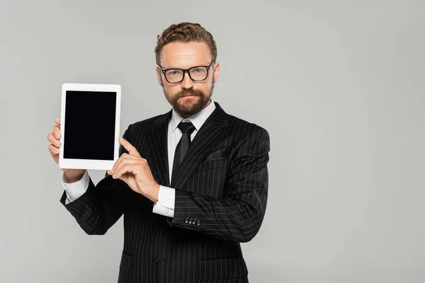 Bearded businessman in formal wear and glasses holding digital tablet with blank screen isolated on grey — Stock Photo