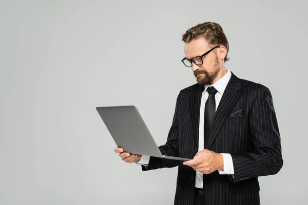Uomo d'affari ben vestito in occhiali utilizzando computer portatile isolato su grigio — Foto stock