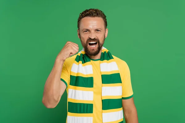 Эмоциональный спортивный фанат в полосатом шарфе и желтой футболке, смотрящий в камеру и показывающий жест силы, изолированный на зеленом — стоковое фото