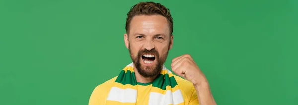 Ventilador de fútbol emocional en bufanda a rayas y camiseta amarilla mirando a la cámara y mostrando gesto de poder aislado en verde, pancarta - foto de stock