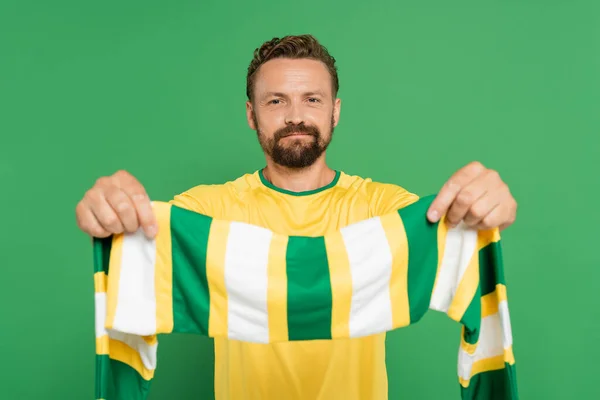 Бородатий футбольний вентилятор у жовтій футболці, що тримає смугастий шарф і дивиться на камеру ізольовано на зеленому — стокове фото