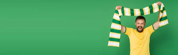 Ventilador de futebol animado em camiseta amarela segurando lenço listrado e olhando para a câmera isolada no verde, banner — Fotografia de Stock