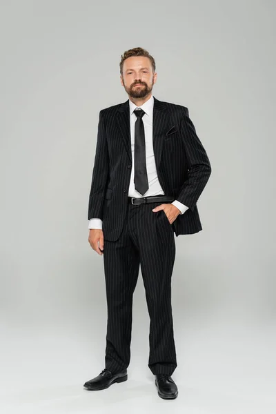 На всю длину бородатый мужчина в формальной одежде стоя с рукой в кармане на сером — стоковое фото