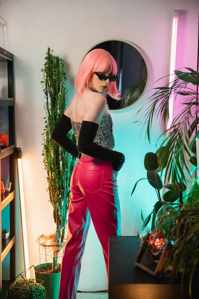 Drag queen na moda em óculos de sol e luvas olhando para a câmera perto de plantas em casa — Fotografia de Stock