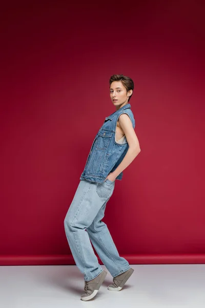 Повна довжина стильної моделі в джинсовому вбранні з жилетом, позує руками в задніх кишенях на джинсах на бордовому фоні — стокове фото