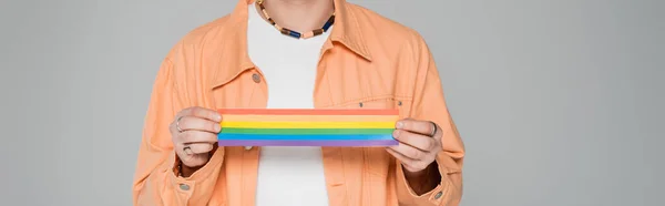 Ausgeschnittene Ansicht eines stilvollen homosexuellen Mannes mit LGBT-Fahne isoliert auf grau, Banner — Stockfoto