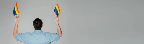 Voltar vista de jovem gay homem segurando lgbt bandeiras isolado no cinza, banner — Fotografia de Stock